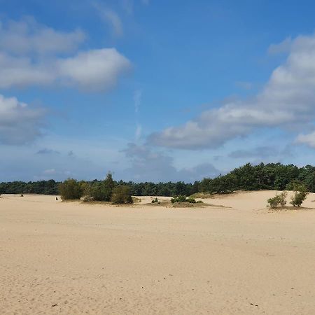 Chalet 11, In Het Bos Doornspijk Zewnętrze zdjęcie