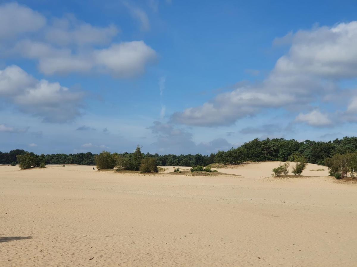Chalet 11, In Het Bos Doornspijk Zewnętrze zdjęcie